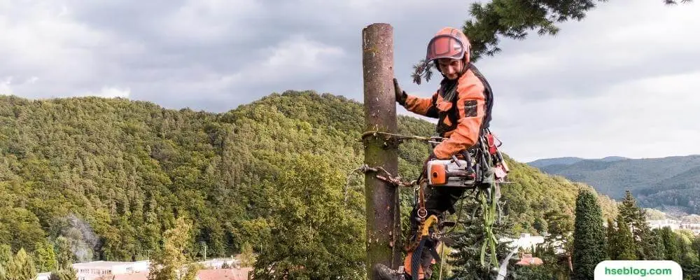 Top Most Dangerous Jobs In The World
