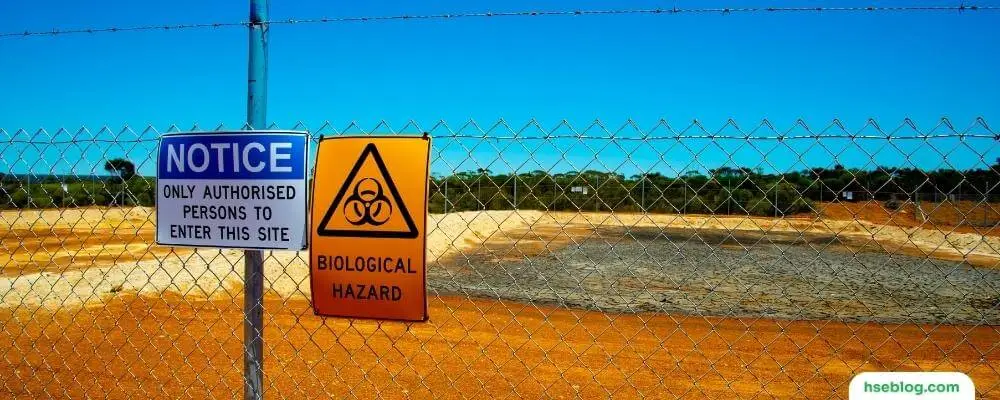 Biological Hazards On Construction Sites