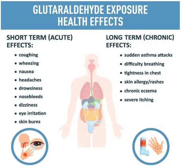 Glutaraldehyde Effects