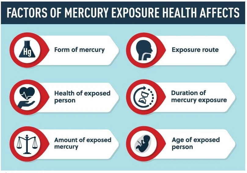 Mercury Effects On Body