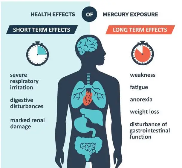 Mercury Side Effects