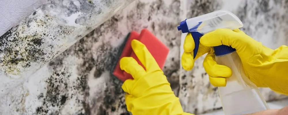 What Can You Do To Protect Your Hands From Any Hazards On Your Worksite