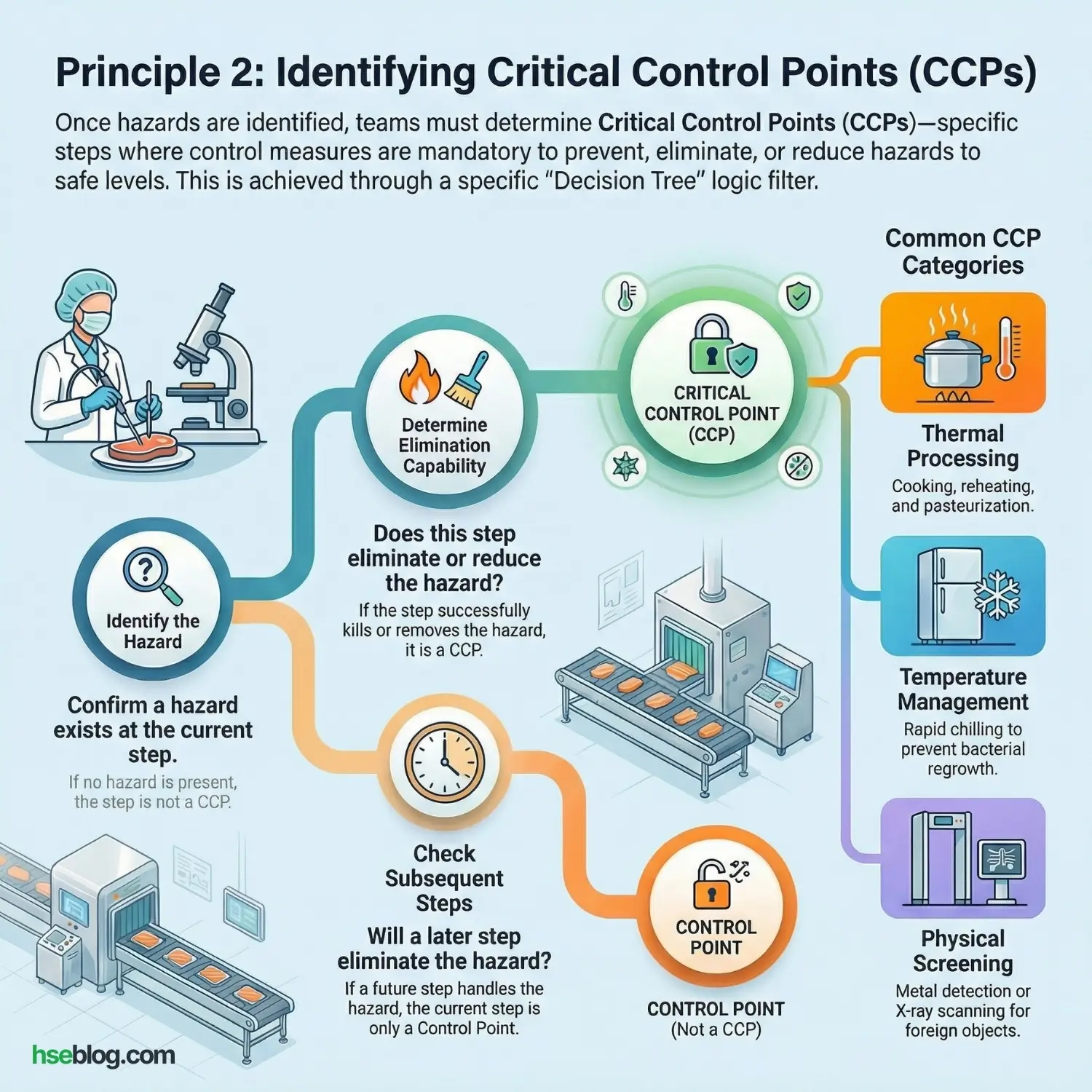 Principle 2_ Determine Critical Control Points (CCPs)