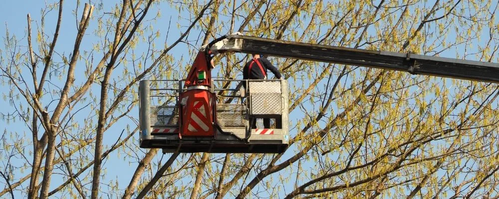 Importance Of MEWP Rescue Plan
