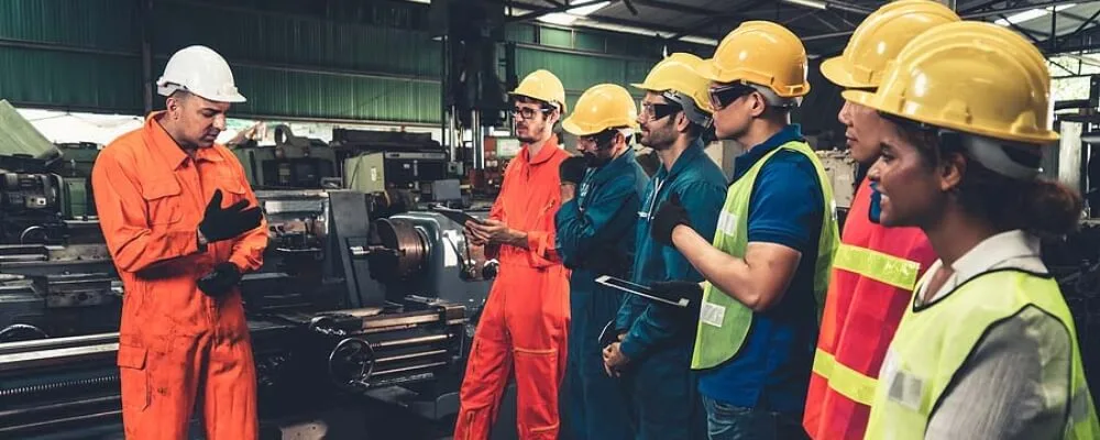 Safety Surveys