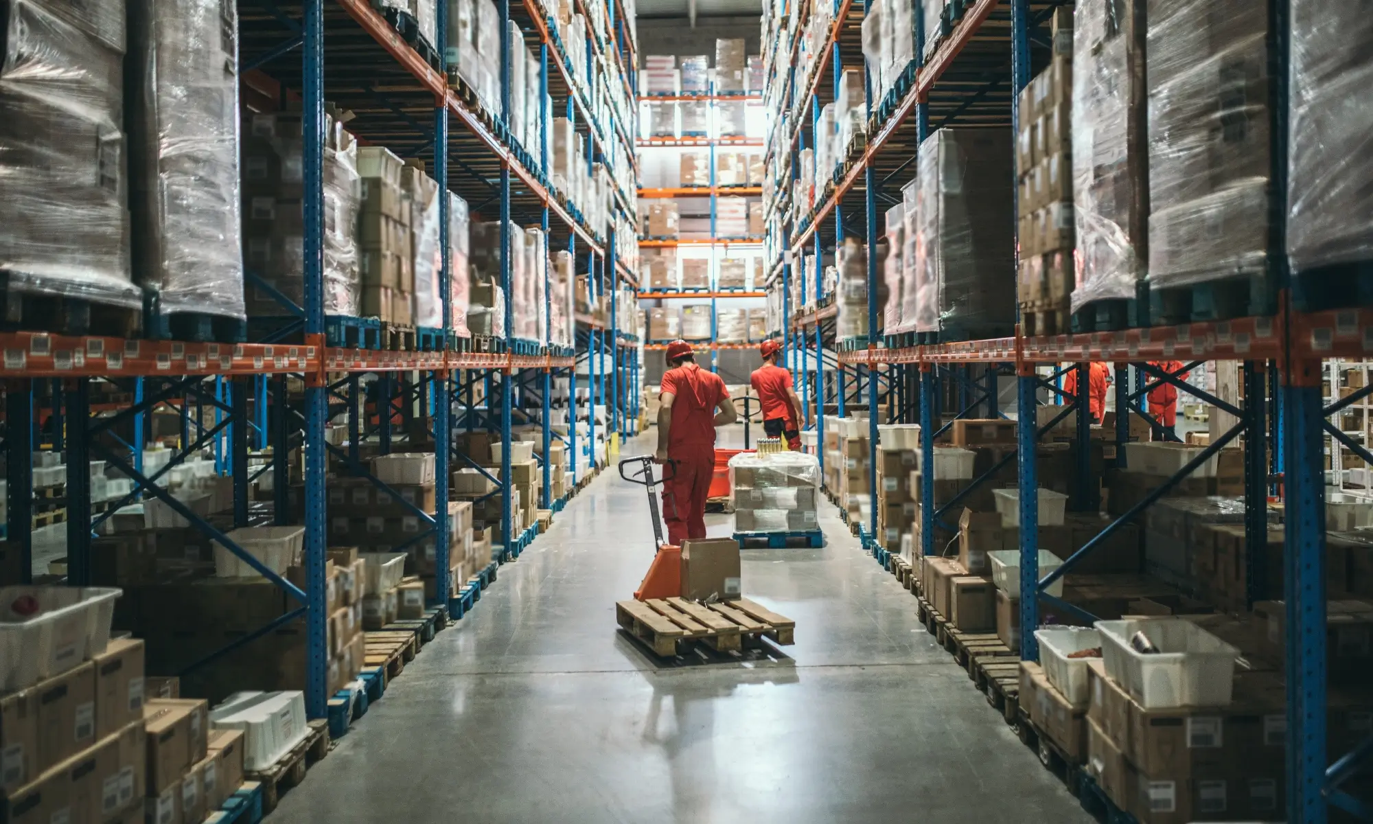 Essential PPE for Warehouse Workers
