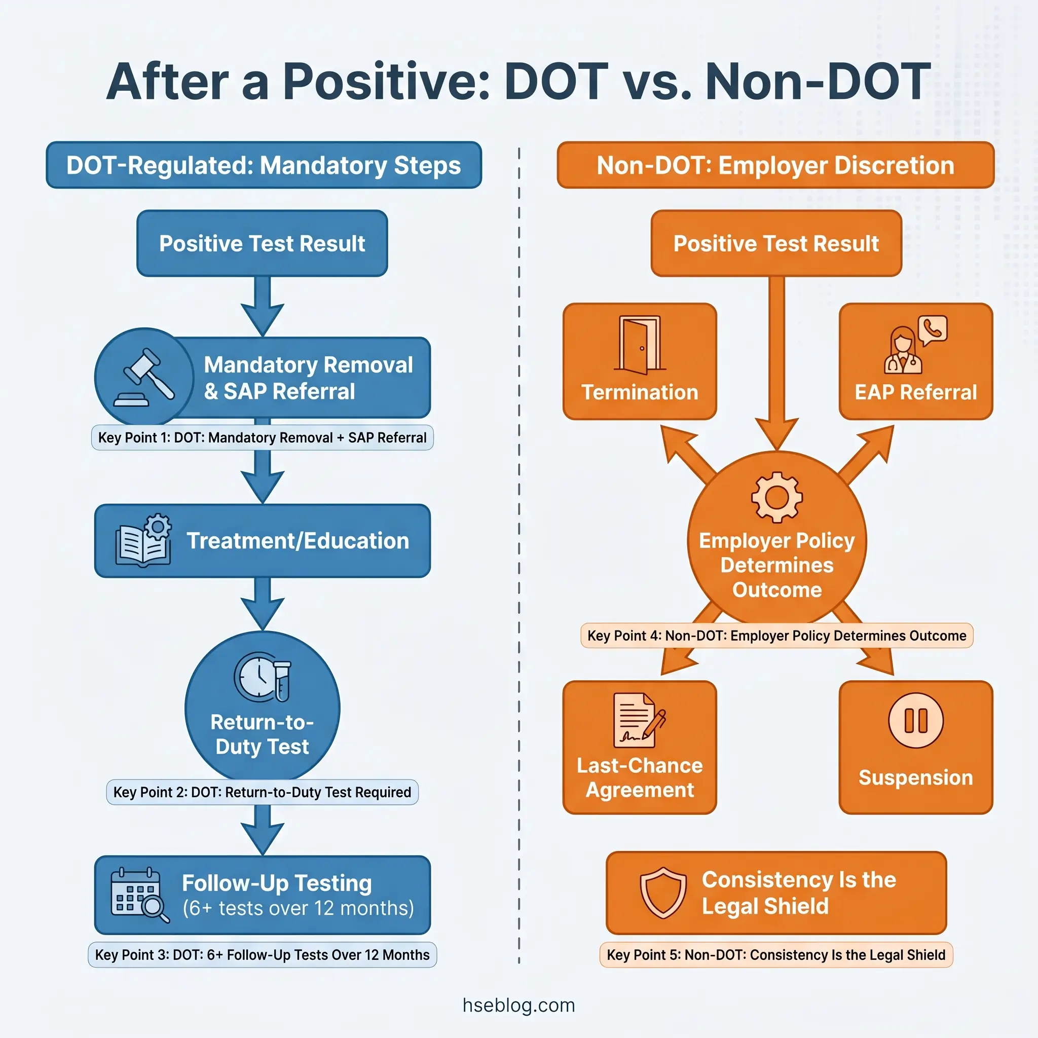 Flowchart comparing DOT-regulated versus non-DOT employer procedures following a positive drug test result, showing mandatory steps versus discretionary options.