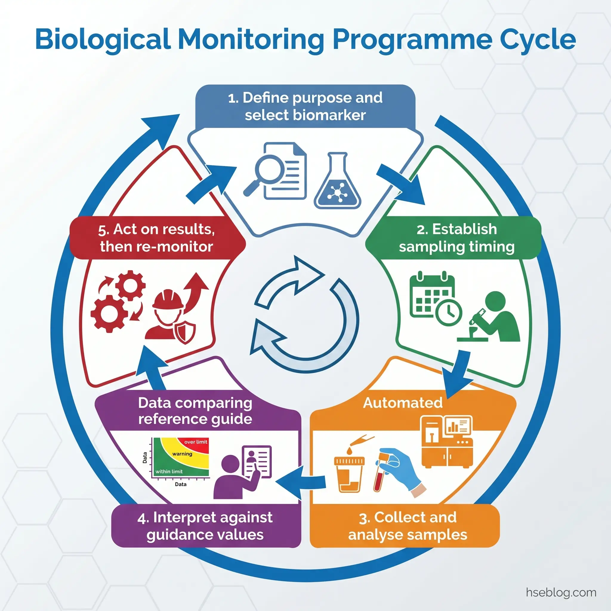 Circular diagram showing the five-step biological monitoring programme cycle: define purpose and select biomarker, establish sampling timing, collect and analyse samples, interpret against guidance values, and act on results then re-monitor.