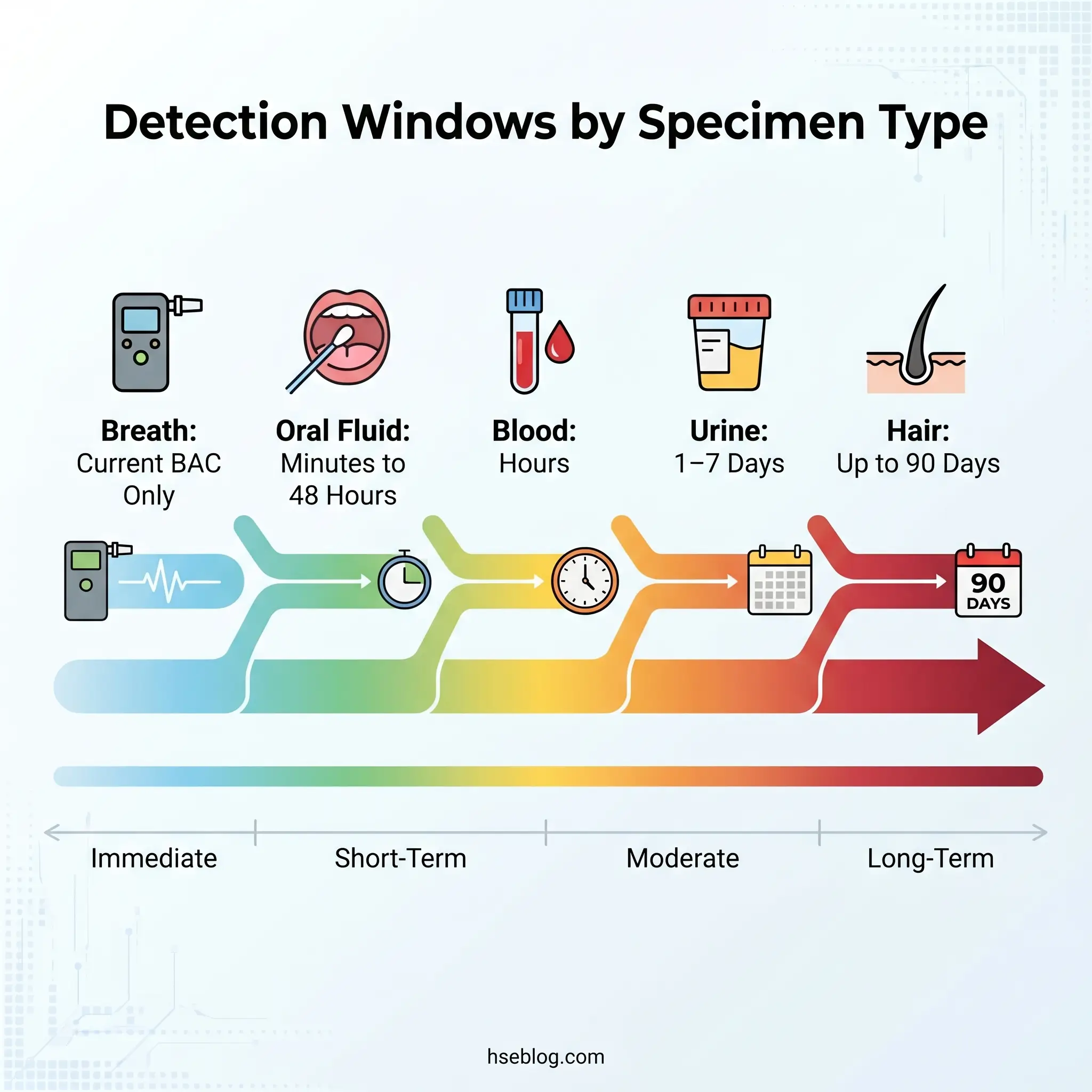 Timeline chart showing detection windows for five drug testing specimen types: breath (current BAC only), oral fluid (minutes to 48 hours), blood (hours), urine (1-7 days), and hair (up to 90 days), spanning from immediate to long-term detection periods.