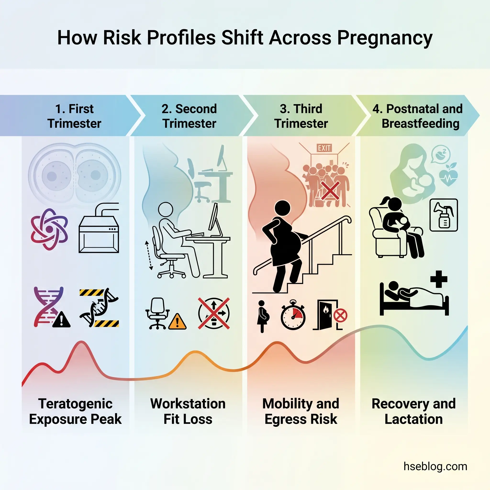 Infographic showing how occupational health risks shift across four pregnancy stages, with icons depicting teratogenic exposure, workstation fit loss, mobility and egress risks, and postpartum recovery and lactation concerns.