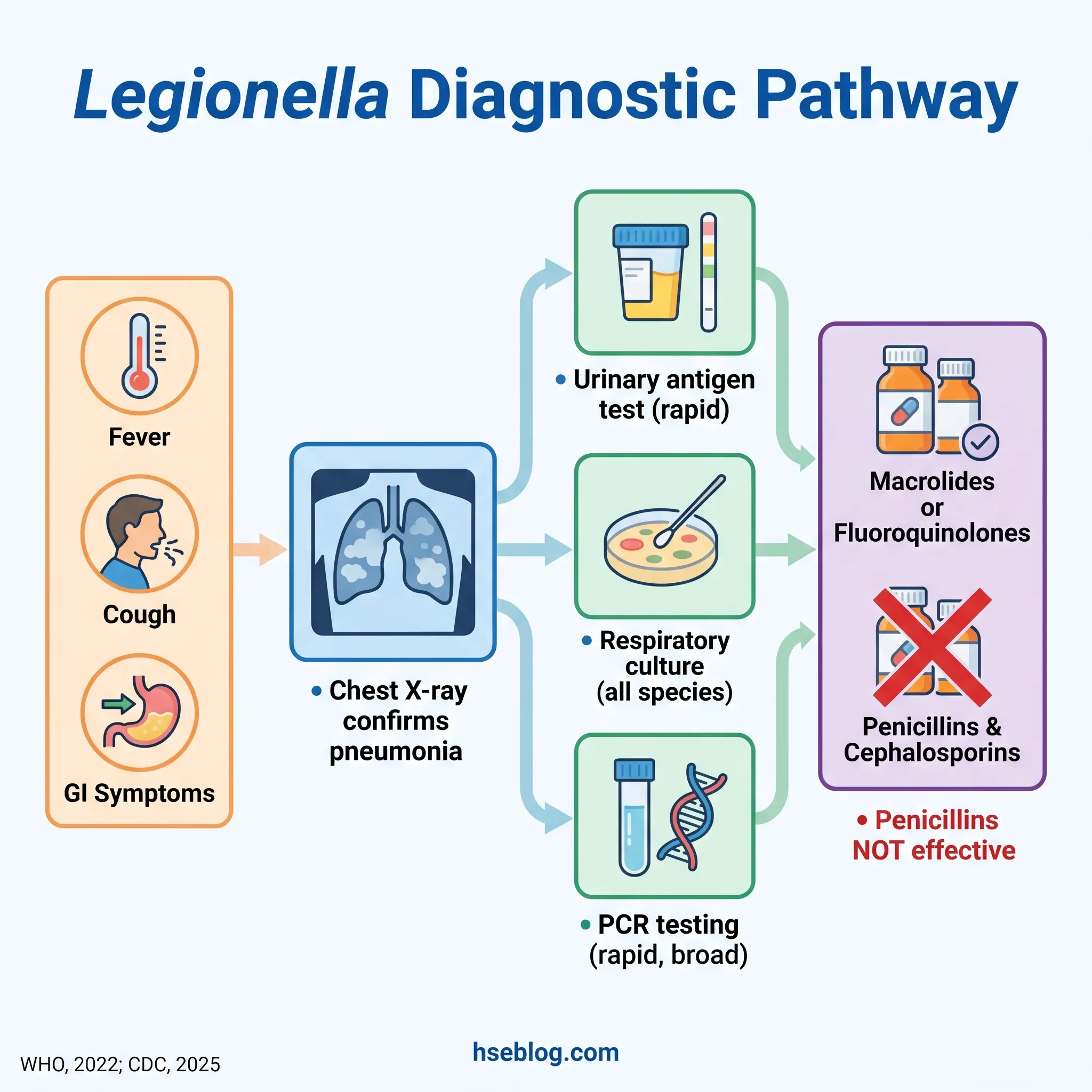 Legionella diagnostic pathway flowchart showing clinical presentation leading to chest X-ray confirmation, followed by three diagnostic tests and treatment options with macrolides or fluoroquinolones while avoiding penicillins.