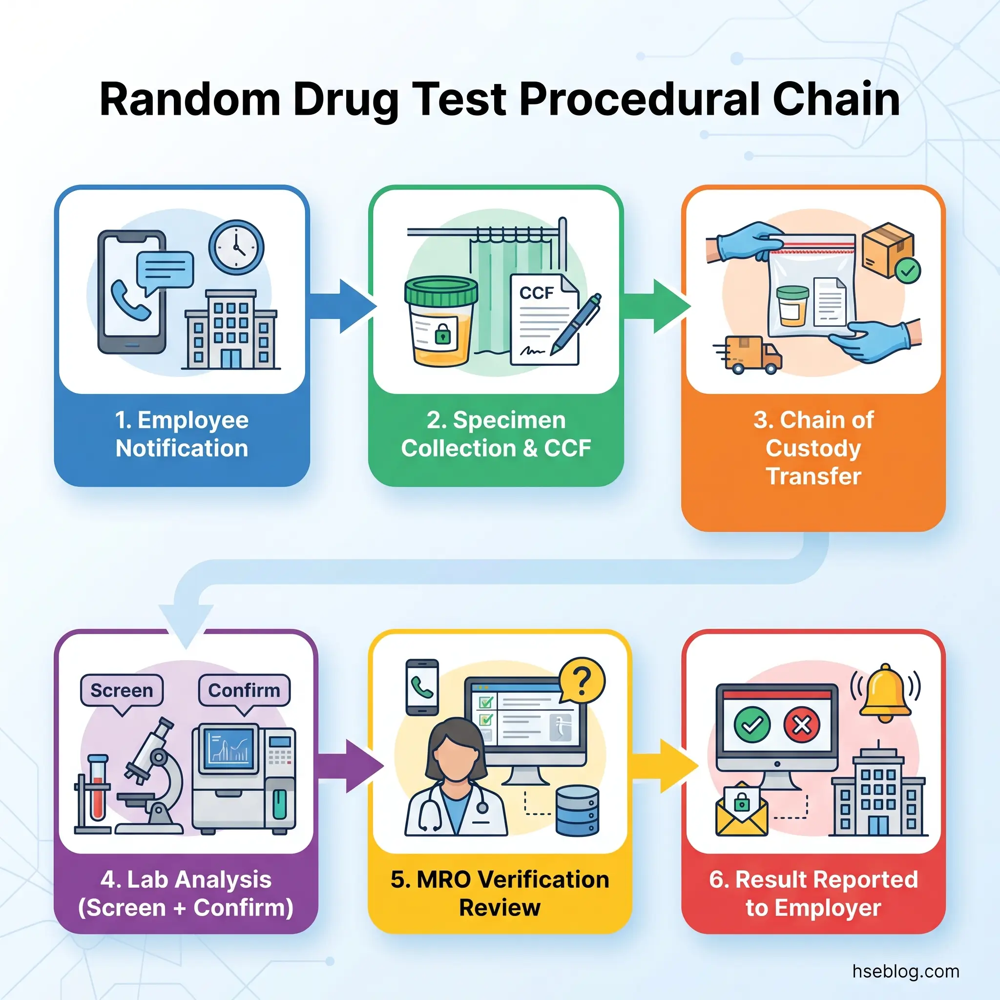 Flowchart showing six sequential steps of a random drug test procedure: employee notification, specimen collection with CCF form, chain of custody transfer, lab analysis screening and confirmation, MRO verification review, and result reporting to employer.
