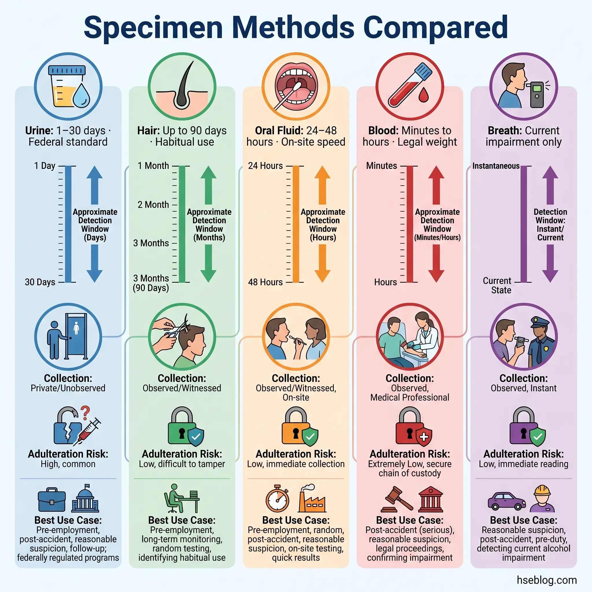 Infographic comparing five drug testing methods: urine, hair, oral fluid, blood, and breath tests, showing detection windows, collection procedures, adulteration risks, and best use cases for each.