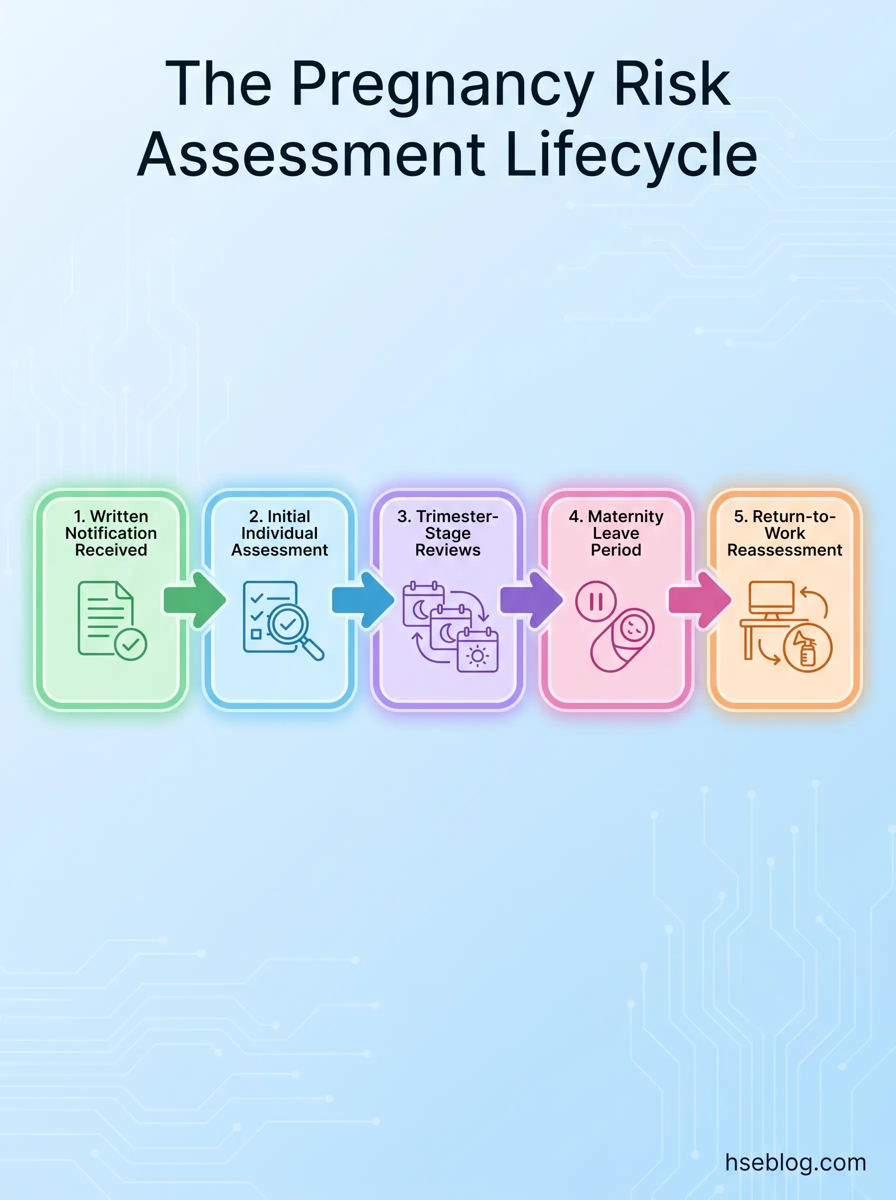 Five-stage pregnancy risk assessment lifecycle diagram showing sequential steps from written notification through initial assessment, trimester reviews, maternity leave, and return-to-work reassessment with icons and connecting arrows.