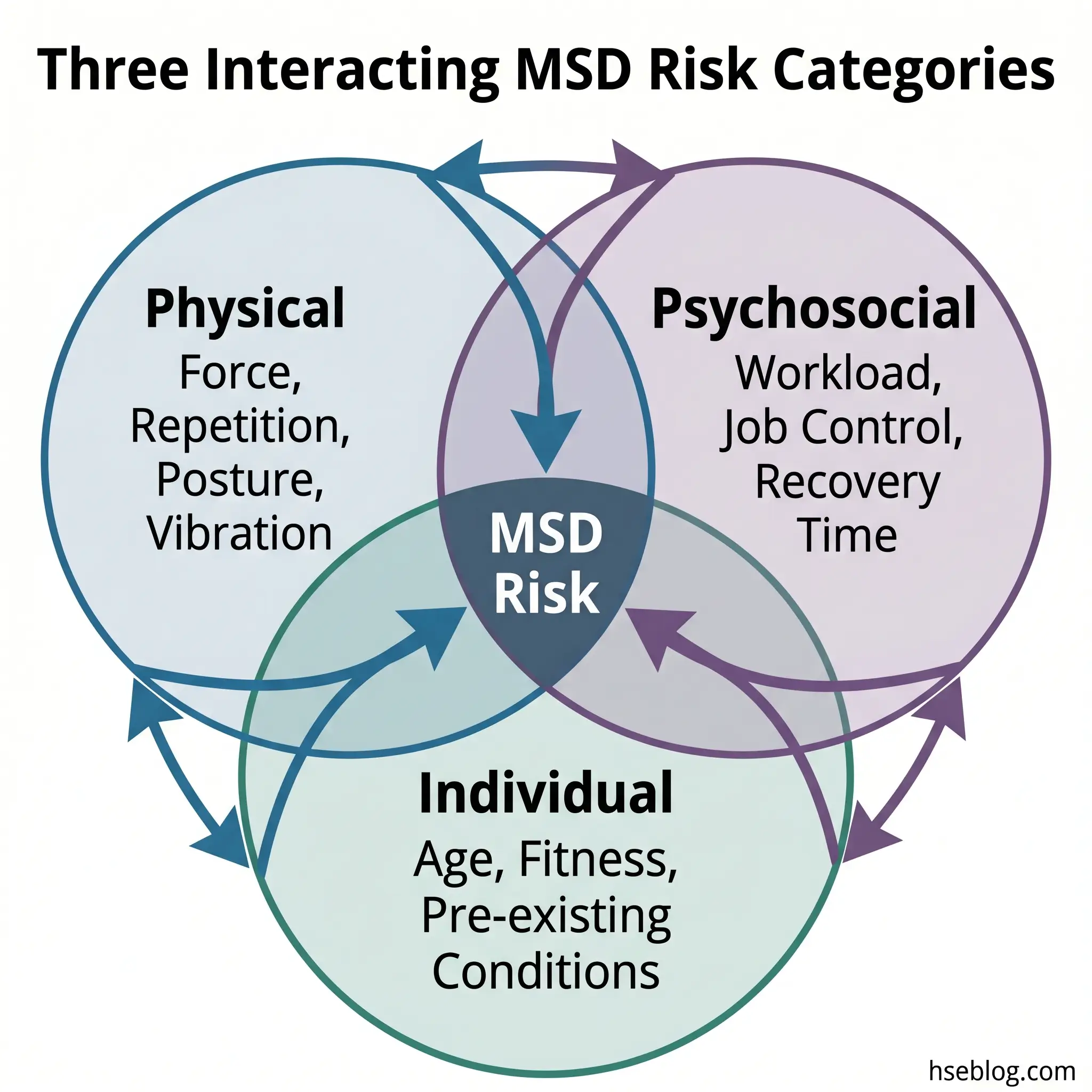 Venn diagram showing three overlapping circles representing Physical, Psychosocial, and Individual risk factors that interact to create MSD risk at their intersection.