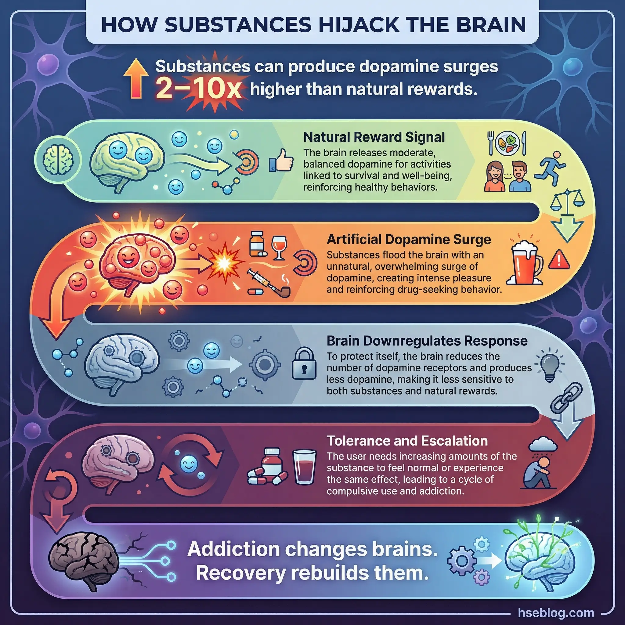 Infographic illustrating how substances hijack the brain's reward system through four sequential stages — natural reward signal, artificial dopamine surge, brain downregulation, and tolerance escalation — by hseblog.com