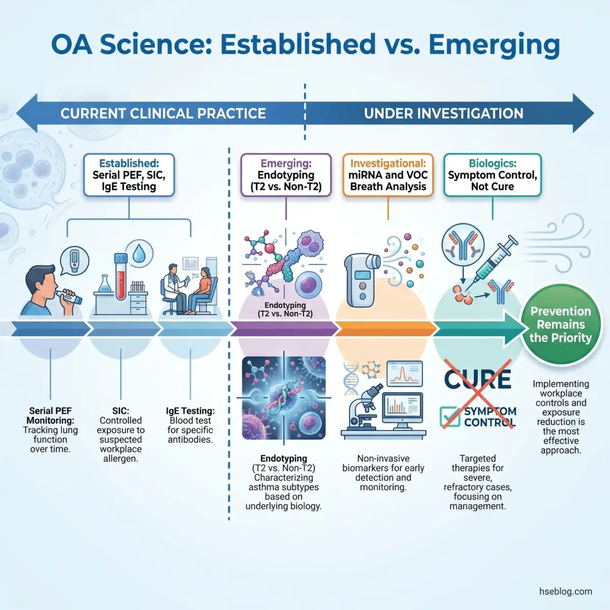 Timeline infographic showing established occupational asthma diagnostic methods including PEF monitoring and IgE testing on the left, transitioning to emerging research approaches like endotyping and biomarker analysis, emphasizing prevention through workplace exposure control.