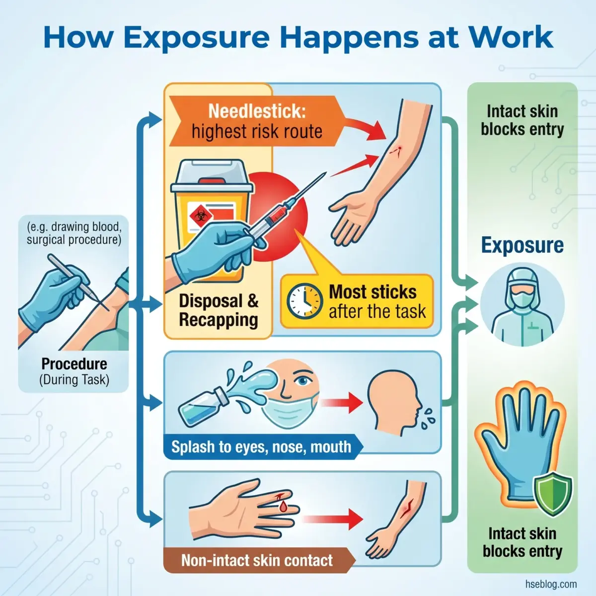 Infographic showing how bloodborne pathogen exposure occurs at work through needlestick injuries, disposal procedures, splashes to face, and skin contact, with protective measures highlighted.