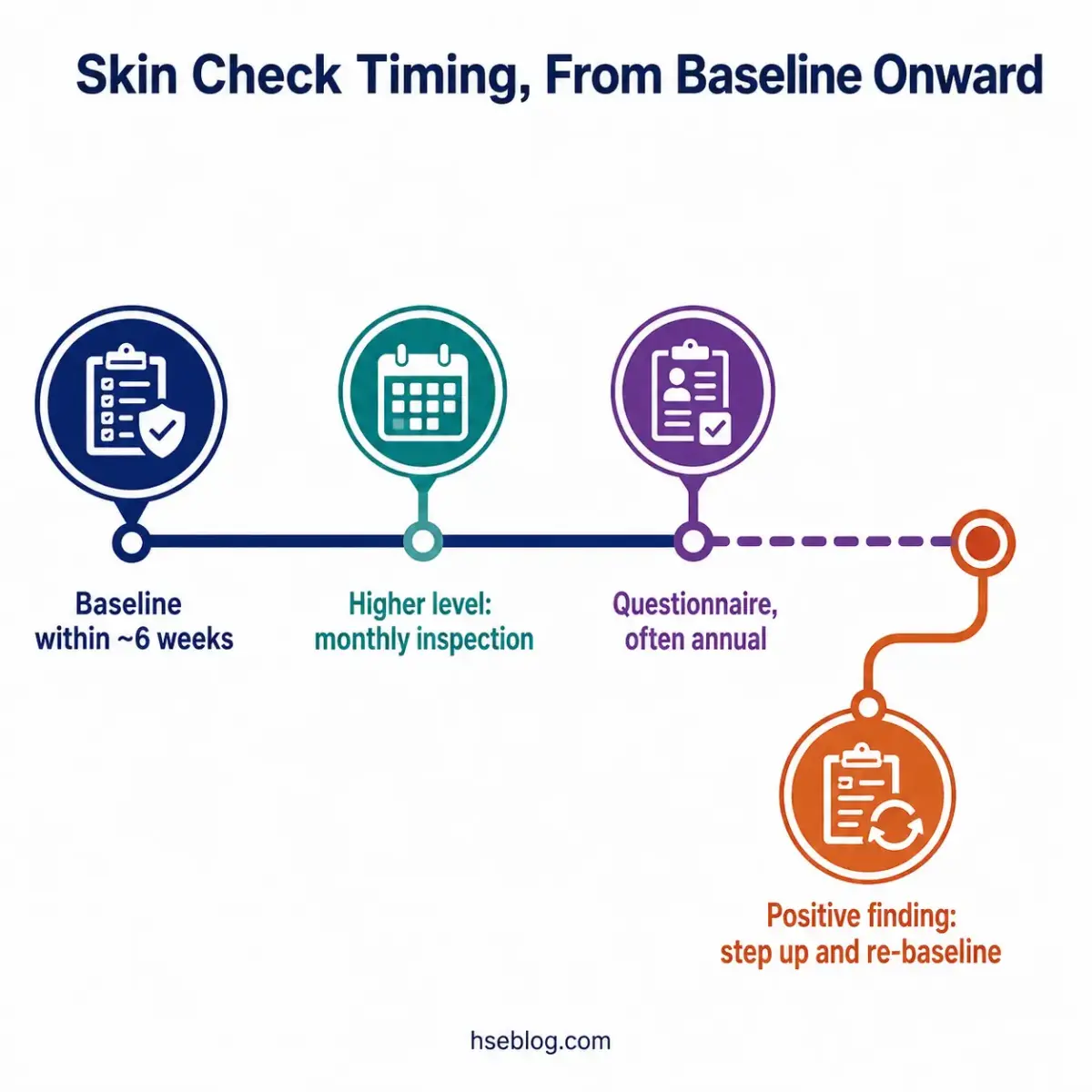 Timeline showing skin check scheduling protocol from baseline assessment within 6 weeks, through monthly higher-level inspections, annual questionnaires, to positive finding re-baseline procedures.