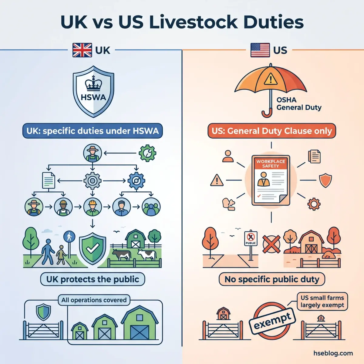 Infographic comparing UK and US livestock safety regulations, showing HSWA's specific duties protecting the public versus OSHA's general duty clause with exemptions for small farms.