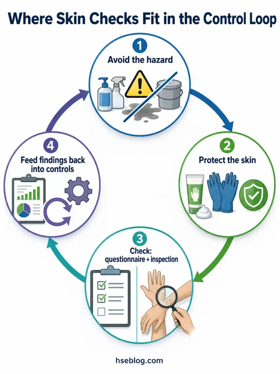 Circular diagram showing four steps of a skin check control loop: avoid hazards, protect skin, conduct questionnaire and inspection, and feed findings back into controls.